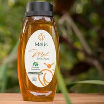 Mel de Laranjeira 100% Puro 500g Mel de Laranjeira 100% Puro 500g