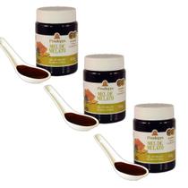 Mel de Melato de Bracatinga 500g 3 potes