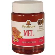 Mel de Multiflores 500g Prodapys Mel de Multiflores 500g Prodapys