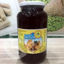 MEL FLORADA EUCALIPTO - NATURALMIX - 1100gr