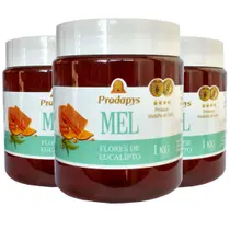 Mel Flores de Eucalipto 1kg - Eleito o Melhor Mel do Mundo Kit com 3 Mel Flores de Eucalipto 1kg - Eleito o Melhor Mel do Mundo Kit com 3