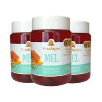 Mel Flores de Eucalipto 500g - Eleito o Melhor Mel do Mundo Kit com 3 Mel Flores de Eucalipto 500g - Eleito o Melhor Mel do Mundo Kit com 3
