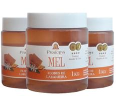 Mel Flores de Laranjeira 1kg - Eleito o Melhor Mel do Mundo Kit com 3