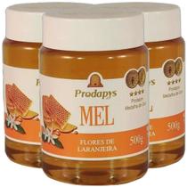 Mel Flores de Laranjeira 500g Kit com 3