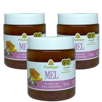 Mel Flores de Uva Japonesa 1kg Kit com 3 Mel Flores de Uva Japonesa 1kg Kit com 3