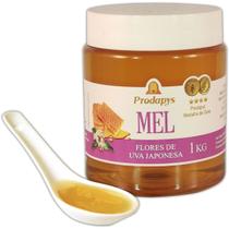 Mel Flores de Uva Japonesa 1kg