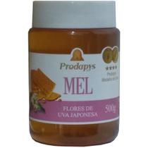 Mel Flores de Uva Japonesa 500g Mel Flores de Uva Japonesa 500g