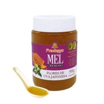 Mel Flores de Uva Japonesa Cremoso 500g Mel Flores de Uva Japonesa Cremoso 500g