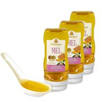 Mel Flores De Uva Japonesa Prodapys 550G - Kit 3 Unidades