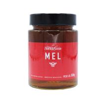 Mel flores silvestres Casa Santa Luzia 500g