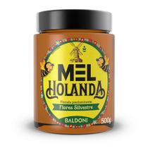 Mel Holanda Silvestre Bisnaga 500g - Baldoni