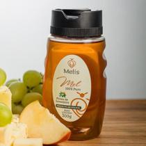 Mel Laranjeira 100% Puro 300g
