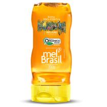 Mel Mel Brasil 100% Puro Orgânico Mata Atlântica 300g Mel Mel Brasil 100% Puro Orgânico Mata Atlântica 300g