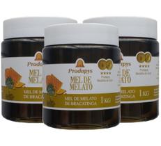 Mel Melato de Bracatinga 1kg Kit com 3 Prodapys