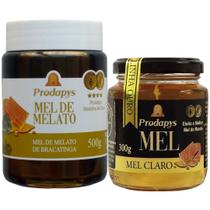 Mel Melato de Bracatinga 500g e Mel Claro Puro 300g