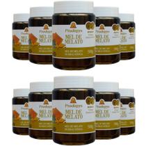 Mel Melato de Bracatinga 500g Kit com 10 Mel Melato de Bracatinga 500g Kit com 10
