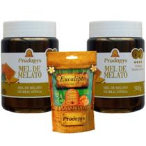 Mel Melato de Bracatinga 500g Kit com 2 + Bala com Própolis Mel Melato de Bracatinga 500g Kit com 2 + Bala com Própolis