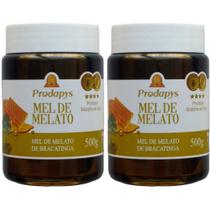 Mel Melato de Bracatinga 500g Kit com 2