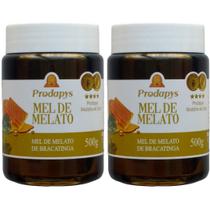 Mel Melato de Bracatinga 500g Kit com 2 Mel Melato de Bracatinga 500g Kit com 2