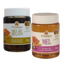 Mel Melato de Bracatinga e Uva Japonesa 500g