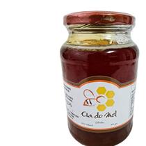 Mel Puro 100 Natural E Puro 800g