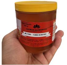 Mel Puro 100% Natural sem Conservantes 500 gr - Flores Silvestres