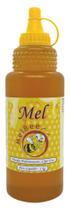 Mel Puro - Bisnaga 1 kg - Florada Cipó Uva - Apiário Melbee