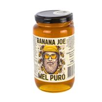 Mel Puro Cru 100% Natural Silvestre Direto Apiário 450g Mel Puro Cru 100% Natural Silvestre Direto Apiário 450g