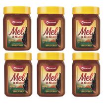 Mel Puro Da Bracatinga 500g - Medicinal - Minamel Kit com 6