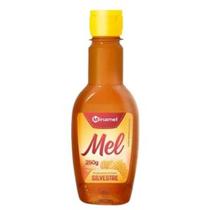 Mel Silvestre Bisnaga Minamel 250G -Mel Puro