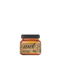Mel Silvestre Orgânico Novo Mel 40g
