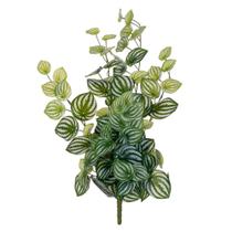 Melancia artificial Vickerman 64 cm Peperomia Green Bush Melancia artificial Vickerman 64 cm Peperomia Green Bush