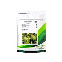 Melancia Híbrida Red Heaven Seminis 1000 Sementes Polpa Vermelha Intensa