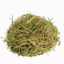 Melão de São Caetano 100Gr Erva seca - Top Life Melão de São Caetano 100Gr Erva seca - Top Life