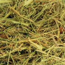 Melão de São Caetano Rasurado 100gr