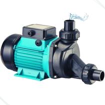 Melhor Motobomba Motor Para Banheira Hidro LSPA 600 0,5 HP MONO 110V