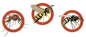 MELHOR Protetor de insetos de rejeição direta de pragas, original como visto na TV, repelente de mosquitos e abelhas ecologicamente correto - Online
