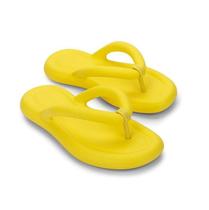 Melissa flip flop free 33531