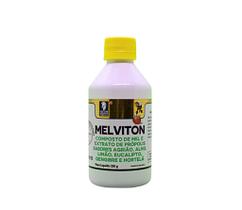 Melviton Composto De Mel E Especiarias 250g