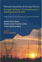 Mercado Atacadista de Energia Elétrica: Formação de Preço e Contribuições para o Aperfeiçoamento