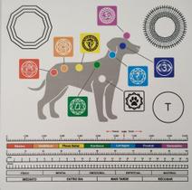 Mesa Radiônica Cães Gráfico Radiestesia Mdf 30x30cm Com 6mm