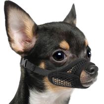 Mesh Muzzle Mayerzon para cães pequenos com focinho curto, tamanho S