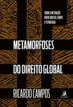 Metamorfoses do direito global: sobre a interação entre Direito, tempo e tecnologia - CONTRACORRENTE