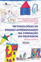 Metodologias de ensino-aprendizagem na formação do professor