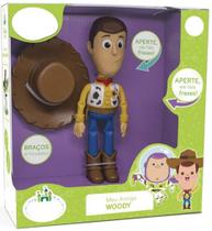 Meu amigo woody elka