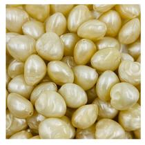 Miçanga Oval Creme 15mm 30pçs Passante Resina Bijuteria 33g Miçanga Oval Creme 15mm 30pçs Passante Resina Bijuteria 33g