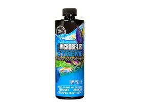 Microbe-Lift Xtreme Removedor De Cloro Amônia Aquários 236Ml Microbe-Lift Xtreme Removedor De Cloro Amônia Aquários 236Ml