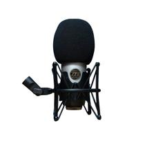 Microfone cardioide para estúdio
