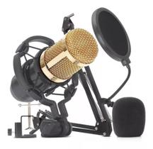 Microfone Lelong LE-914 Condensador Cardioide + Acessórios Home Studio