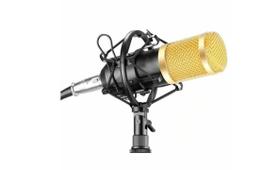 Microfone Profissional Condensador Kit com Braço Articulado + Pop Filter - BM-800 - B-MAX